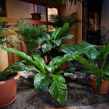 Greemount Hotel-3